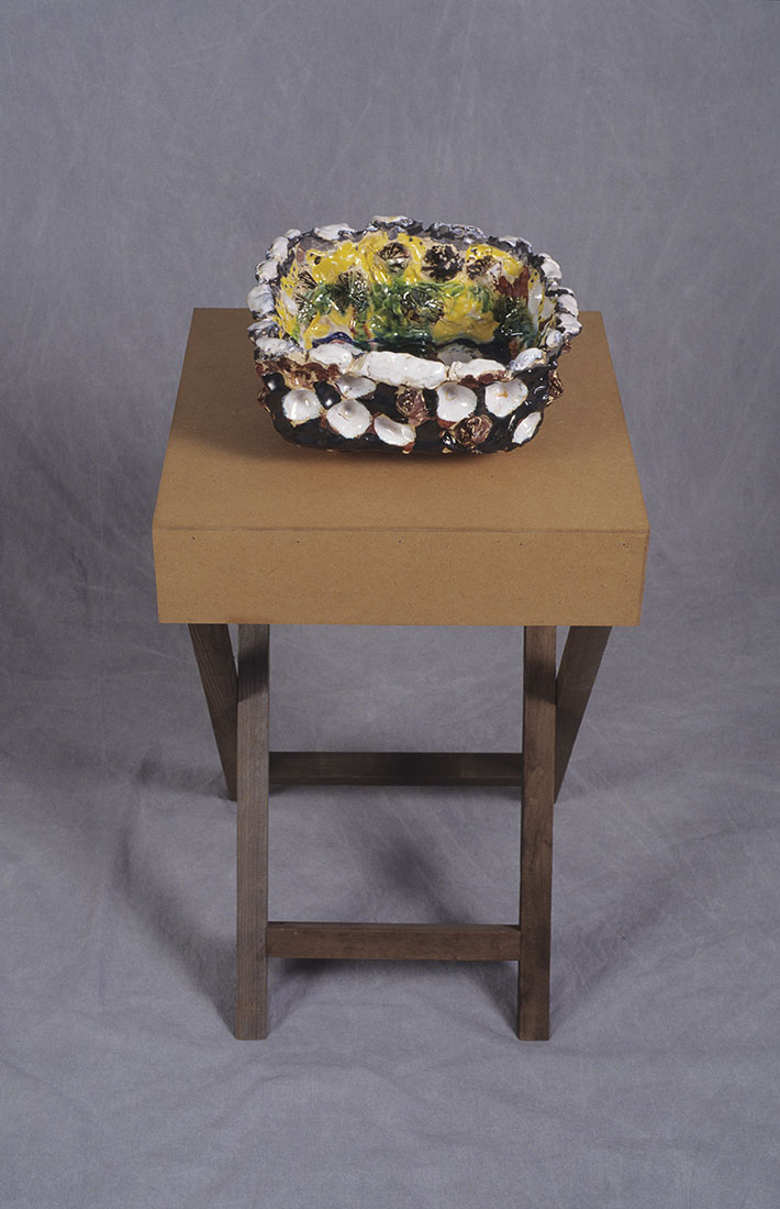 Toni Warburton, Artist. Artwork from Being with Objects, 1995